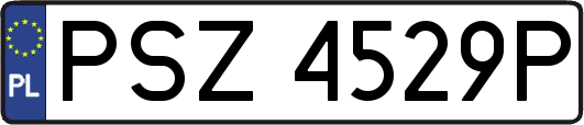PSZ4529P