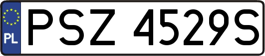 PSZ4529S