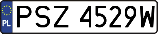 PSZ4529W
