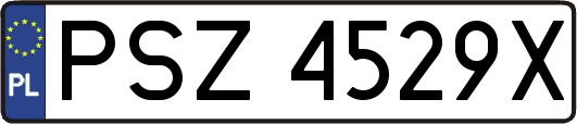 PSZ4529X
