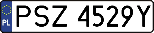 PSZ4529Y