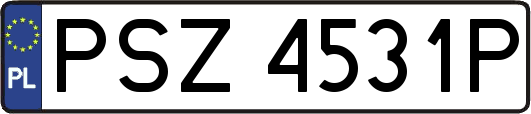 PSZ4531P