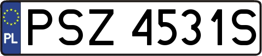 PSZ4531S
