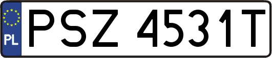 PSZ4531T