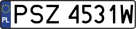 PSZ4531W