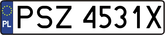 PSZ4531X