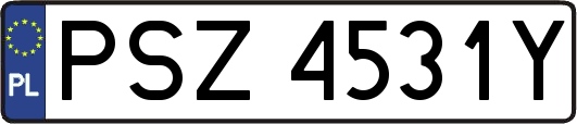 PSZ4531Y