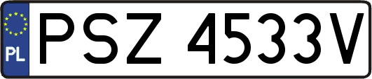 PSZ4533V