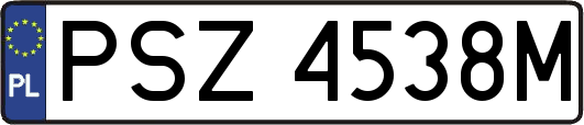PSZ4538M