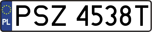 PSZ4538T