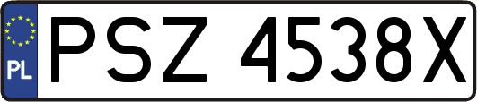 PSZ4538X