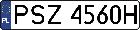 PSZ4560H