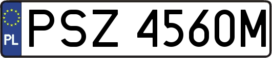 PSZ4560M