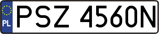 PSZ4560N