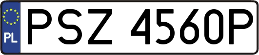 PSZ4560P