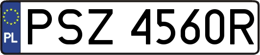 PSZ4560R