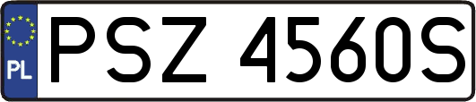 PSZ4560S