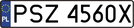 PSZ4560X