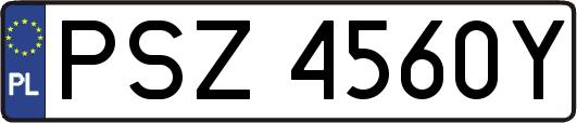 PSZ4560Y