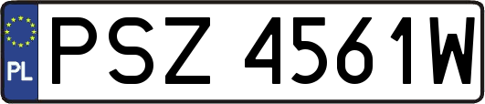 PSZ4561W