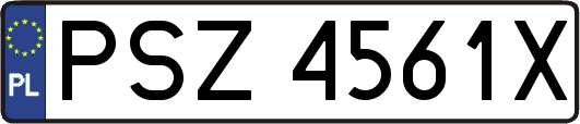 PSZ4561X