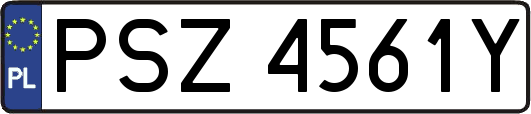 PSZ4561Y