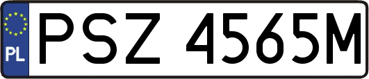 PSZ4565M