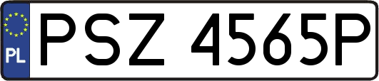 PSZ4565P