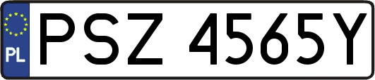 PSZ4565Y