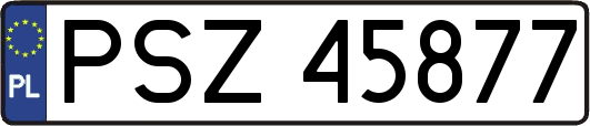 PSZ45877