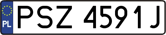 PSZ4591J