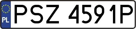 PSZ4591P