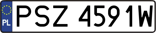 PSZ4591W