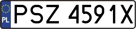 PSZ4591X