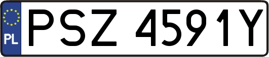 PSZ4591Y