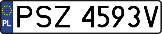 PSZ4593V