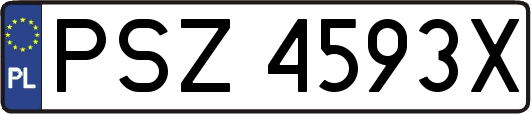 PSZ4593X