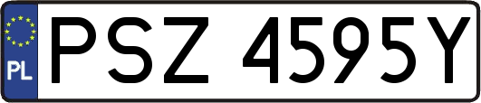 PSZ4595Y