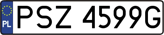 PSZ4599G