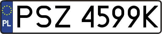 PSZ4599K