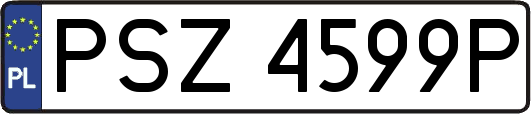 PSZ4599P