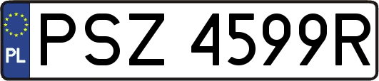 PSZ4599R