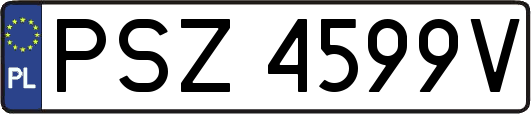 PSZ4599V