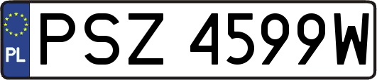 PSZ4599W