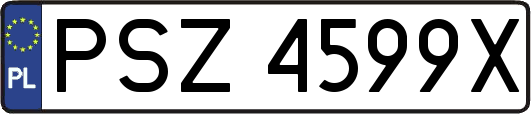 PSZ4599X
