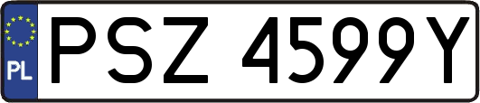 PSZ4599Y