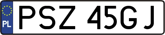 PSZ45GJ
