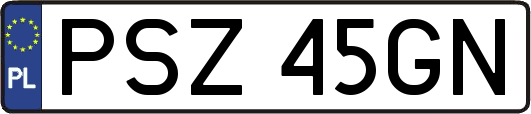 PSZ45GN
