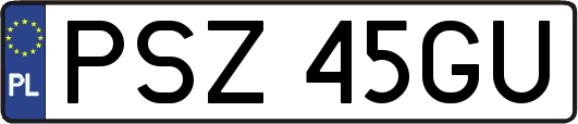 PSZ45GU