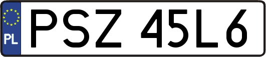 PSZ45L6